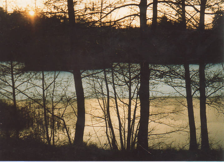 evening wood lake