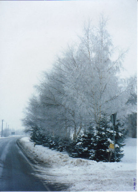 winter street (c) 1984 sts
