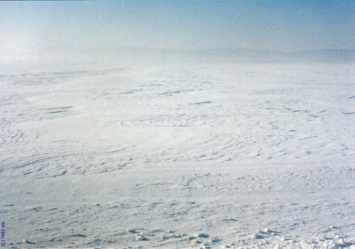 winter fields (c) 1984 sts