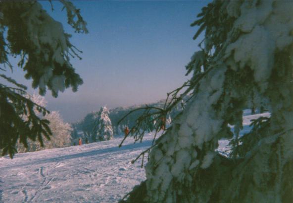 winter sports (c) 1995 STS