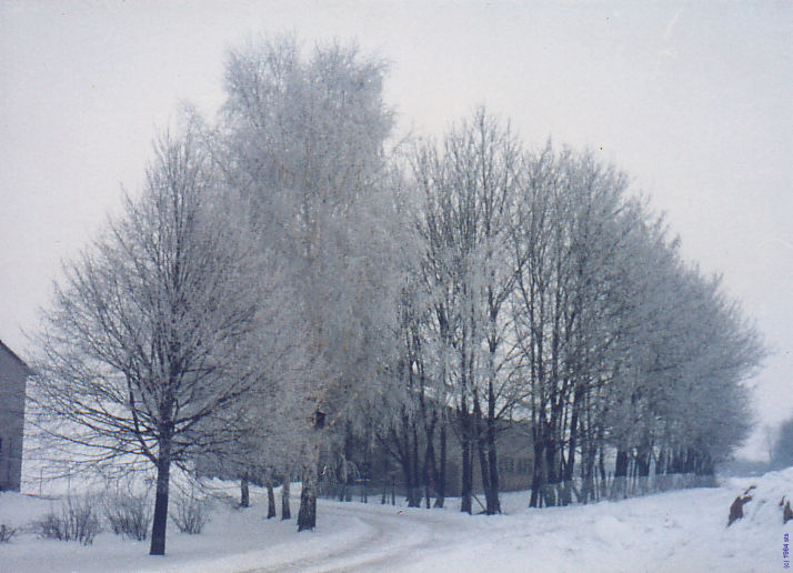 winter farm  (c) 1984 sts